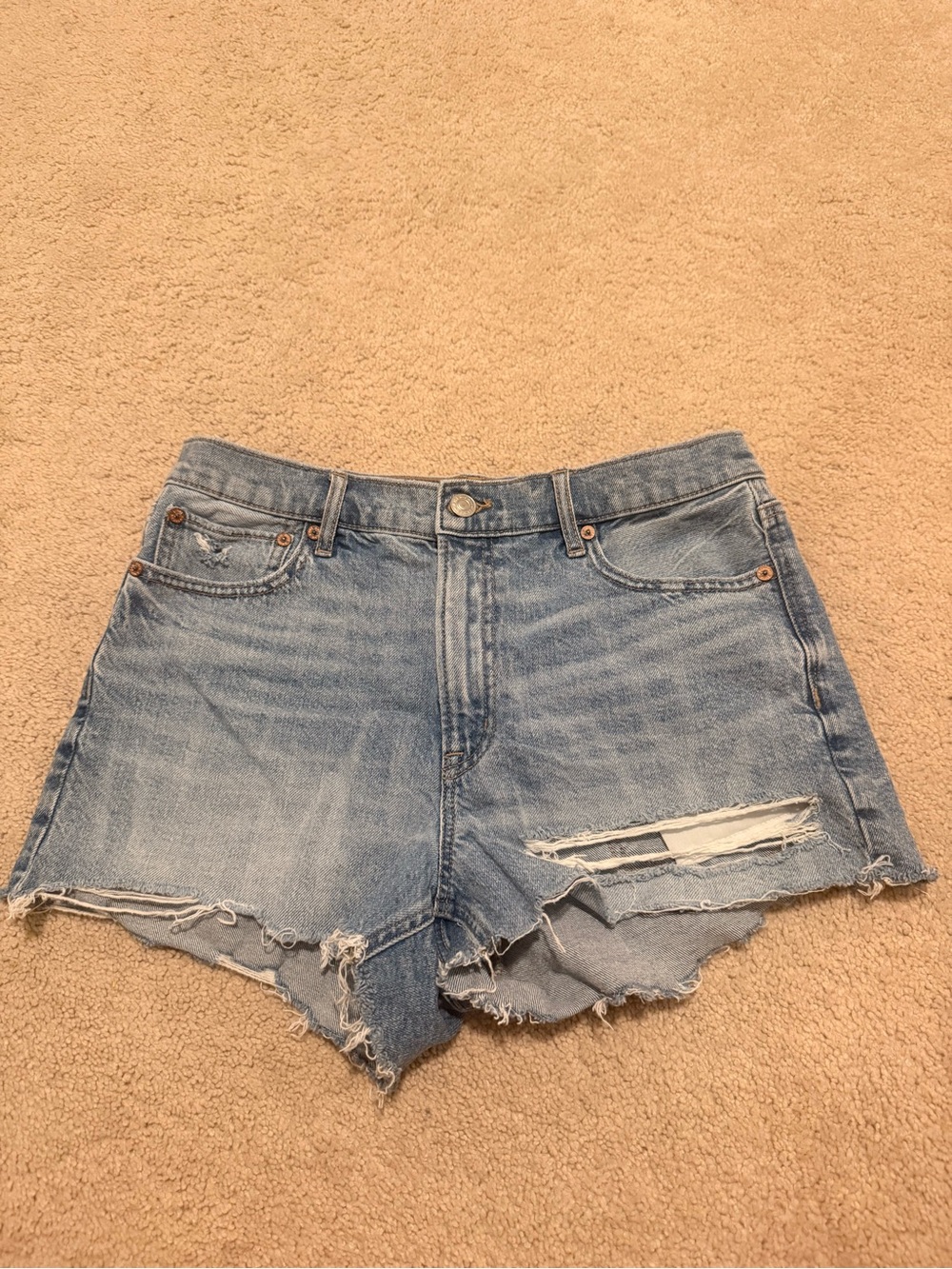 American Eagle Outfitters Light Blue Distressed Denim Shorts